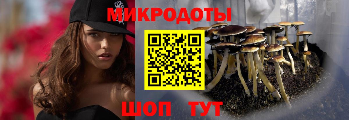 Серов  Псилоцибиновые грибы GOLDEN TEACHER  Вход с VPN  Галлюциногенные грибы мицелий 